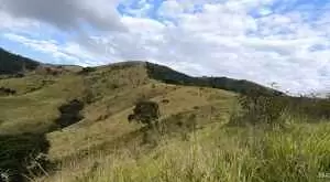 Monteiro Lobato - Bela vista - Imagem 4