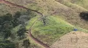 Monteiro Lobato - Bela vista - Imagem 6