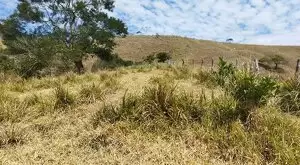Monteiro Lobato - Bela vista - Imagem 7
