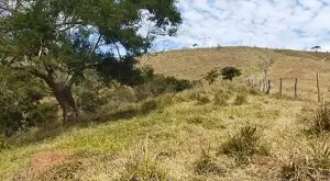 Monteiro Lobato - Bela vista - Imagem 8