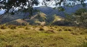 Monteiro Lobato - Bela vista - Imagem 11