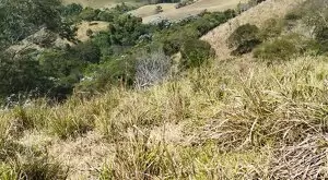 Monteiro Lobato - Bela vista - Imagem 13