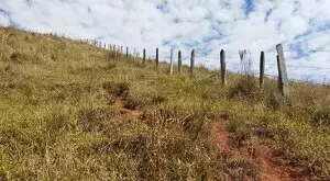 Monteiro Lobato - Bela vista - Imagem 14