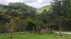 Sítio Encantador em São Francisco Xavier - Imagem 13