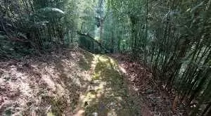 Sítio a venda em Santa Barbara, Região do Bugre. - Imagem 4