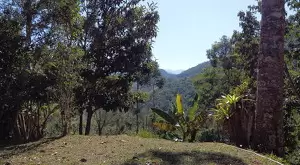 Sítio a venda no topo das montanhas de São Francisco Xavier - SP - Imagem 4