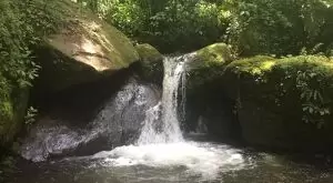 Sítio a venda no topo das montanhas de São Francisco Xavier - SP - Imagem 6
