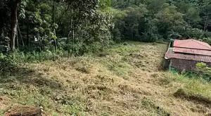 MONTEIRO LOBATO - TERRENO CENTRO