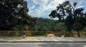 MONTEIRO LOBATO - TERRENO CENTRO - Imagem 2