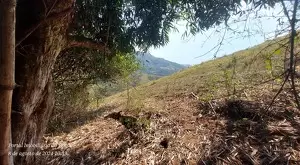 Terreno excepcional de frente para cidade de São Francisco Xavier - Imagem 15