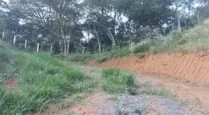 Chácara a venda no bairro do Souza Monteiro Lobato - Imagem 3