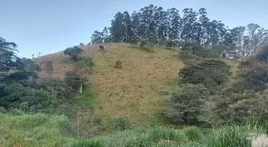 Chácara a venda no bairro do Souza Monteiro Lobato - Imagem 6