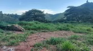 Chácara a venda no bairro do Souza Monteiro Lobato - Imagem 7