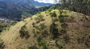 Chácara a venda no bairro do Souza Monteiro Lobato - Imagem 8