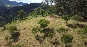 Chácara a venda no bairro do Souza Monteiro Lobato - Imagem 9