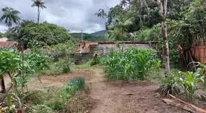 Lote residencial no centro de São Francisco Xavier