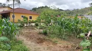 Lote residencial no centro de São Francisco Xavier - Imagem 3
