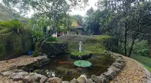Linda propriedade a venda em São Francisco Xavier - SP - Imagem 4