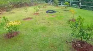 Chacara a venda em Monteiro Lobato - Imagem 6