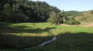 Um lugarzinho tranquilo - Imagem 3
