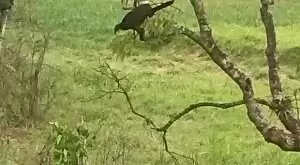 Um lugarzinho tranquilo - Imagem 9