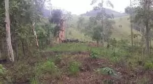 Terreno com área de 20 mil m² - Imagem 2