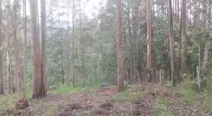 Terreno com área de 20 mil m² - Imagem 5