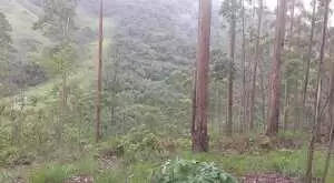 Terreno com área de 20 mil m² - Imagem 6