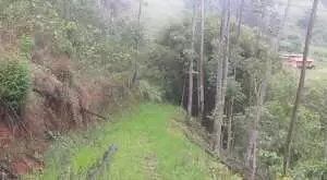 Terreno com área de 20 mil m² - Imagem 9