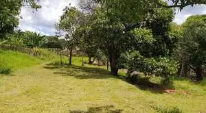 Terreno de 1.500 m² a venda em Santa Hermínia - Imagem 2