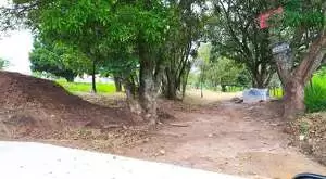 Terreno de 1.500 m² a venda em Santa Hermínia - Imagem 4