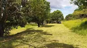Terreno de 1.500 m² a venda em Santa Hermínia - Imagem 6