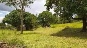 Terreno de 1.500 m² a venda em Santa Hermínia - Imagem 7