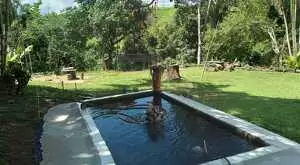 Chácara à Venda – Oportunidade Imperdível! - Imagem 4