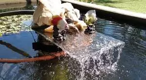 Chácara à Venda – Oportunidade Imperdível! - Imagem 6