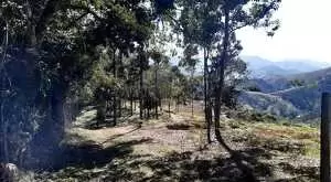 Terreno Espetacular – Bairro Rio Manso, São Francisco Xavier - Imagem 3
