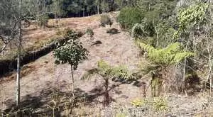 Terreno Espetacular – Bairro Rio Manso, São Francisco Xavier - Imagem 4