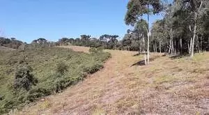 Terreno Espetacular – Bairro Rio Manso, São Francisco Xavier - Imagem 11