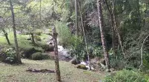 Linda Chácara em São Francisco Xavier – Um Refúgio de Paz e Natureza - Imagem 3