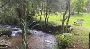 Linda Chácara em São Francisco Xavier – Um Refúgio de Paz e Natureza - Imagem 4