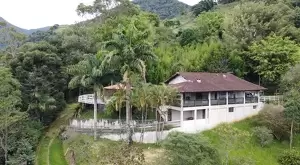 Sítio à venda em Santa Bárbara – Região do Bugre - Imagem 2