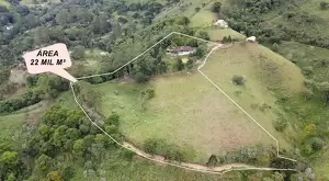 Sítio à venda em Santa Bárbara – Região do Bugre - Imagem 4