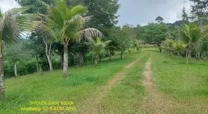 Sítio em Condomínio Fechado – Zona Norte de São José dos Campos/SP - Imagem 2