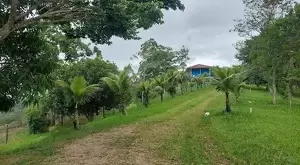 Sítio em Condomínio Fechado – Zona Norte de São José dos Campos/SP - Imagem 11