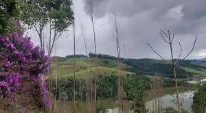 Sítio em Condomínio Fechado – Zona Norte de São José dos Campos/SP - Imagem 12