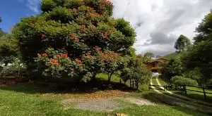 Sítio com 40.000 m² – Documentação 100% Regularizada - Imagem 9