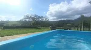 Chácara dos Sonhos – 4.000 m² de Puro Contato com a Natureza - Imagem 6