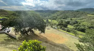 Chácara dos Sonhos – 4.000 m² de Puro Contato com a Natureza - Imagem 13