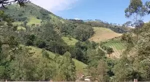 Casa Mobiliada para Locação em Santa Bárbara – São Francisco Xavier - Imagem 4