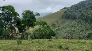 Terreno de 5 Alqueires – Bairro do Cafundó, São Francisco Xavier - Imagem 6